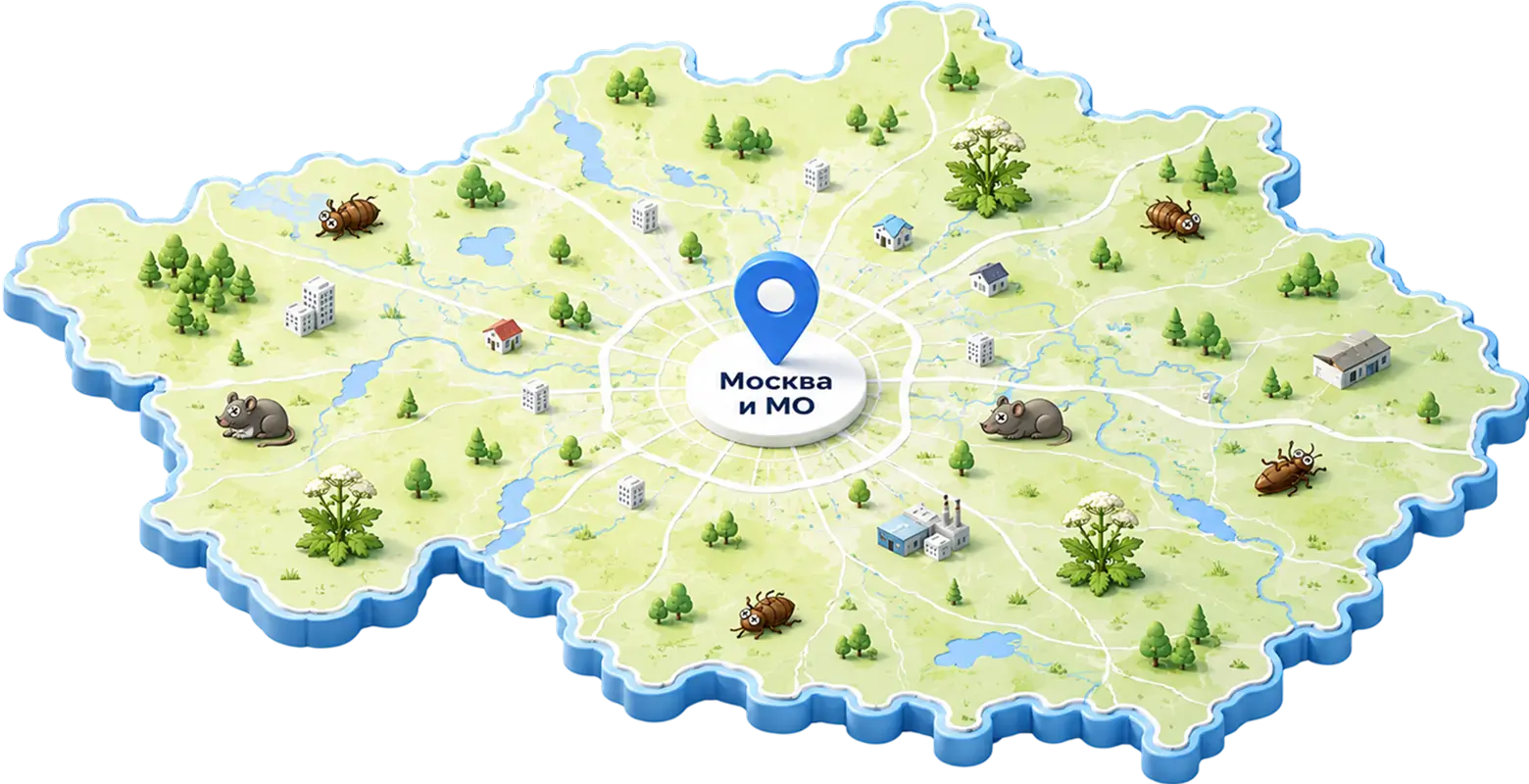 Карта