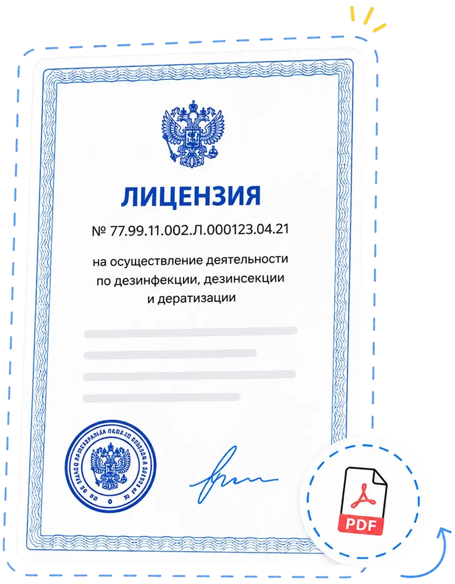 Лицензия
